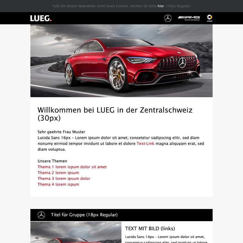 https://www.netmailer.ch/bilder/banner/lueg-newsletter-design.webp